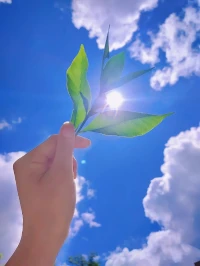 放下心中所有的煩惱和憂愁.
踏踏實實地做好每一天的事，
你會發(fā)現(xiàn)，人生充滿了陽光和希望。配圖