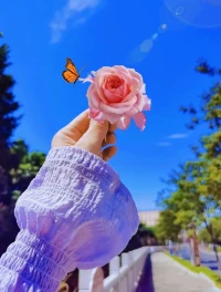 常懷一顆清明澄澈的心.
去感恩遇見的人和事。
就能收獲更多的幸福和快樂。配圖