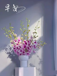 心中若有桃花源，何處不是水云間配圖
