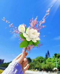 四月的微風輕輕拂過 
溫柔的陽光灑滿大地
讓人感受到一股溫暖的氣息配圖