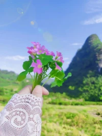 生活就是用一兩分的甜
去沖淡人生八九分的苦配圖