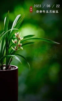 每個(gè)人都應(yīng)該把自己當(dāng)成一個(gè)寶貝，好好愛(ài)護(hù)，尊重自己，才能找到自己真正的價(jià)值。配圖