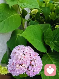不要提前焦虑，也不要预支烦恼。
生活就是热气腾腾的活在此时此刻。