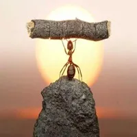 直面脆弱，才懂得堅(jiān)強(qiáng)！配圖