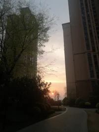 我們要如何安撫這顆心1

越走越發(fā)現(xiàn)，人最難面對(duì)的真不是現(xiàn)實(shí)的困境，而是我們自己的這顆心？

在柴米油鹽與風(fēng)花雪月間自由切換，這是我最近幾年的生活狀態(tài)。在每日去工作的公交上，除非陰云天，其他大部分時(shí)間，我沉迷在天空的云錦中，沉浸在路過飛馳而過的花草樹木中，在美好的景象中，我有時(shí)也會(huì)拿出手機(jī)拍下這一路的美好，還會(huì)胡亂地配上晨讀學(xué)習(xí)的詩，我以為我的心就會(huì)這么豐富地安靜下去，畢竟大部分的日子都是在這么有序而充實(shí)地過著，加之心理學(xué)學(xué)習(xí)的加持，但在今年，最近一兩個(gè)月期間，我的心變得不那么寧靜了，有時(shí)突然產(chǎn)生焦躁感。

我是怎么了？

三件事讓我飄浮不定，一是在自己堅(jiān)持了多年的公益讀書會(huì)中搖擺，再也沒有堅(jiān)持的心了；傳統(tǒng)文化的學(xué)習(xí)，本來是指導(dǎo)我們的現(xiàn)實(shí)生活，如果變成了學(xué)知識(shí)，我在考慮退出；年初加入了一個(gè)發(fā)心為普通大眾受益的心理學(xué)團(tuán)隊(duì)，現(xiàn)在也沒有看到讓自己堅(jiān)定的景象；我越來越感到?jīng)]有學(xué)習(xí)群體鏈接的心的不安定。想在自己生活的社區(qū)，來發(fā)起開展一個(gè)讀傳統(tǒng)文化與心理學(xué)的公益讀書會(huì)，時(shí)間過去了近一個(gè)月，仍然沒啟動(dòng)，隨著時(shí)間一天天地過去，我陷入在一片迷霧之中。我終于相信了，初接觸心理學(xué)時(shí)，就有一個(gè)重要的課：心理工作者要安撫好自己的這顆心，也是心理工作者一生的課題，我們自己的內(nèi)心隨時(shí)都有可能會(huì)被出現(xiàn)的情況擾亂，我們要如何去安撫好我們的內(nèi)心？“隨機(jī)弘道”，今晨聽直播里的這句話特別打動(dòng)我，“凡事都不能太執(zhí)著”，結(jié)合心理學(xué)的學(xué)習(xí)，我算是輕松下來了。

我想我的這段因?qū)W習(xí)組織的困擾經(jīng)歷在今天要?jiǎng)澤暇涮?hào)了，所以很想分享出來，希望給你有所幫助，當(dāng)然更多是整理我自己。

佛教里講無常才是恒常，我們的人生總是處在變化中；面對(duì)無常，沒有人真正做到完全地波瀾不驚，只是有的人，能快速地整理好自己繼續(xù)前行；所以，那些總是在陷入煩惱中的人們，先要告訴自己：大家都是一樣的，都是凡人，你所經(jīng)歷的，凡人都或多或少經(jīng)歷過，是的，你可能更敏銳，你可能更不幸，但你要學(xué)會(huì)自已整理自我教育：我所煩惱的究竟為何物并寫下來，找到那個(gè)擾亂自已最初的根、最深層的認(rèn)知，與自己的認(rèn)知做誠實(shí)地對(duì)質(zhì)，哪些認(rèn)知是非理性的，哪些認(rèn)知就根本是完全錯(cuò)誤的，并開始堅(jiān)定地行動(dòng)。配圖
