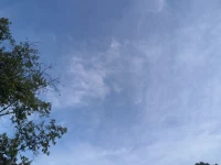 我們要如何安撫這顆心1

越走越發(fā)現(xiàn)，人最難面對(duì)的真不是現(xiàn)實(shí)的困境，而是我們自己的這顆心？

在柴米油鹽與風(fēng)花雪月間自由切換，這是我最近幾年的生活狀態(tài)。在每日去工作的公交上，除非陰云天，其他大部分時(shí)間，我沉迷在天空的云錦中，沉浸在路過飛馳而過的花草樹木中，在美好的景象中，我有時(shí)也會(huì)拿出手機(jī)拍下這一路的美好，還會(huì)胡亂地配上晨讀學(xué)習(xí)的詩，我以為我的心就會(huì)這么豐富地安靜下去，畢竟大部分的日子都是在這么有序而充實(shí)地過著，加之心理學(xué)學(xué)習(xí)的加持，但在今年，最近一兩個(gè)月期間，我的心變得不那么寧靜了，有時(shí)突然產(chǎn)生焦躁感。

我是怎么了？

三件事讓我飄浮不定，一是在自己堅(jiān)持了多年的公益讀書會(huì)中搖擺，再也沒有堅(jiān)持的心了；傳統(tǒng)文化的學(xué)習(xí)，本來是指導(dǎo)我們的現(xiàn)實(shí)生活，如果變成了學(xué)知識(shí)，我在考慮退出；年初加入了一個(gè)發(fā)心為普通大眾受益的心理學(xué)團(tuán)隊(duì)，現(xiàn)在也沒有看到讓自己堅(jiān)定的景象；我越來越感到?jīng)]有學(xué)習(xí)群體鏈接的心的不安定。想在自己生活的社區(qū)，來發(fā)起開展一個(gè)讀傳統(tǒng)文化與心理學(xué)的公益讀書會(huì)，時(shí)間過去了近一個(gè)月，仍然沒啟動(dòng)，隨著時(shí)間一天天地過去，我陷入在一片迷霧之中。我終于相信了，初接觸心理學(xué)時(shí)，就有一個(gè)重要的課：心理工作者要安撫好自己的這顆心，也是心理工作者一生的課題，我們自己的內(nèi)心隨時(shí)都有可能會(huì)被出現(xiàn)的情況擾亂，我們要如何去安撫好我們的內(nèi)心？“隨機(jī)弘道”，今晨聽直播里的這句話特別打動(dòng)我，“凡事都不能太執(zhí)著”，結(jié)合心理學(xué)的學(xué)習(xí)，我算是輕松下來了。

我想我的這段因?qū)W習(xí)組織的困擾經(jīng)歷在今天要?jiǎng)澤暇涮?hào)了，所以很想分享出來，希望給你有所幫助，當(dāng)然更多是整理我自己。

佛教里講無常才是恒常，我們的人生總是處在變化中；面對(duì)無常，沒有人真正做到完全地波瀾不驚，只是有的人，能快速地整理好自己繼續(xù)前行；所以，那些總是在陷入煩惱中的人們，先要告訴自己：大家都是一樣的，都是凡人，你所經(jīng)歷的，凡人都或多或少經(jīng)歷過，是的，你可能更敏銳，你可能更不幸，但你要學(xué)會(huì)自已整理自我教育：我所煩惱的究竟為何物并寫下來，找到那個(gè)擾亂自已最初的根、最深層的認(rèn)知，與自己的認(rèn)知做誠實(shí)地對(duì)質(zhì)，哪些認(rèn)知是非理性的，哪些認(rèn)知就根本是完全錯(cuò)誤的，并開始堅(jiān)定地行動(dòng)。配圖