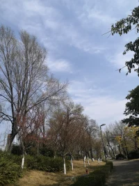 我們要如何安撫這顆心1

越走越發(fā)現(xiàn)，人最難面對(duì)的真不是現(xiàn)實(shí)的困境，而是我們自己的這顆心？

在柴米油鹽與風(fēng)花雪月間自由切換，這是我最近幾年的生活狀態(tài)。在每日去工作的公交上，除非陰云天，其他大部分時(shí)間，我沉迷在天空的云錦中，沉浸在路過飛馳而過的花草樹木中，在美好的景象中，我有時(shí)也會(huì)拿出手機(jī)拍下這一路的美好，還會(huì)胡亂地配上晨讀學(xué)習(xí)的詩，我以為我的心就會(huì)這么豐富地安靜下去，畢竟大部分的日子都是在這么有序而充實(shí)地過著，加之心理學(xué)學(xué)習(xí)的加持，但在今年，最近一兩個(gè)月期間，我的心變得不那么寧靜了，有時(shí)突然產(chǎn)生焦躁感。

我是怎么了？

三件事讓我飄浮不定，一是在自己堅(jiān)持了多年的公益讀書會(huì)中搖擺，再也沒有堅(jiān)持的心了；傳統(tǒng)文化的學(xué)習(xí)，本來是指導(dǎo)我們的現(xiàn)實(shí)生活，如果變成了學(xué)知識(shí)，我在考慮退出；年初加入了一個(gè)發(fā)心為普通大眾受益的心理學(xué)團(tuán)隊(duì)，現(xiàn)在也沒有看到讓自己堅(jiān)定的景象；我越來越感到?jīng)]有學(xué)習(xí)群體鏈接的心的不安定。想在自己生活的社區(qū)，來發(fā)起開展一個(gè)讀傳統(tǒng)文化與心理學(xué)的公益讀書會(huì)，時(shí)間過去了近一個(gè)月，仍然沒啟動(dòng)，隨著時(shí)間一天天地過去，我陷入在一片迷霧之中。我終于相信了，初接觸心理學(xué)時(shí)，就有一個(gè)重要的課：心理工作者要安撫好自己的這顆心，也是心理工作者一生的課題，我們自己的內(nèi)心隨時(shí)都有可能會(huì)被出現(xiàn)的情況擾亂，我們要如何去安撫好我們的內(nèi)心？“隨機(jī)弘道”，今晨聽直播里的這句話特別打動(dòng)我，“凡事都不能太執(zhí)著”，結(jié)合心理學(xué)的學(xué)習(xí)，我算是輕松下來了。

我想我的這段因?qū)W習(xí)組織的困擾經(jīng)歷在今天要?jiǎng)澤暇涮?hào)了，所以很想分享出來，希望給你有所幫助，當(dāng)然更多是整理我自己。

佛教里講無常才是恒常，我們的人生總是處在變化中；面對(duì)無常，沒有人真正做到完全地波瀾不驚，只是有的人，能快速地整理好自己繼續(xù)前行；所以，那些總是在陷入煩惱中的人們，先要告訴自己：大家都是一樣的，都是凡人，你所經(jīng)歷的，凡人都或多或少經(jīng)歷過，是的，你可能更敏銳，你可能更不幸，但你要學(xué)會(huì)自已整理自我教育：我所煩惱的究竟為何物并寫下來，找到那個(gè)擾亂自已最初的根、最深層的認(rèn)知，與自己的認(rèn)知做誠實(shí)地對(duì)質(zhì)，哪些認(rèn)知是非理性的，哪些認(rèn)知就根本是完全錯(cuò)誤的，并開始堅(jiān)定地行動(dòng)。配圖