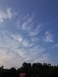 如何安撫這顆心2

如我那三件事，第一件事，我認為我只有在那個讀書會才能讓自己堅持去讀傳統文化去幫助實現自己理想的人生（雖然我讀的書不多，但兜兜轉轉的學習之后，我發現我懂得的許多道理都在我們的傳統文化里，而且是至簡明了地告訴我們），第二件事，我認為我花了錢買了課進入了團隊，就要馬上看到那個團隊在如何教我走向真正需要幫助的人們，讓自己獲得成長的同時又幫助了他人，第三件事，我想，以上兩條路走得不堅實，我只有依靠在社區組織公益讀書會了，看到社區工作人員的態度，我想很可能沒有人響應，那我這條路也沒辦法走下去了。為此我反來復去地煩惱，第一件事我在搖擺中，第二件讓我心神不悅，第三件事我怕結果不理想，我畏步不前。這樣的直面，我也無數次想過，但沒有寫下來，或者讓自己堅定的時機還沒有到，我想我現在知道我該怎么做了。

我還想說，人只有親身體會過，才知道那種搖擺不定有多折磨人，所以我理解你，那些身陷抑郁與煩惱的人有多痛苦，但是一定要記住，直面后就是堅定在行動，跟唯有行動才能改變，哪怕微小的行動都有效應的，輕柔的雪花，如經年累月的堆積，就會產生大的力量——雪崩，你的行動，根本要不了那么久，借助外力的幫助，你也可以慢慢走向你想成為的樣子。配圖
