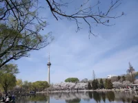 為什么上天給了一個愛笑的性格，又給了一個讓我變的安靜的經歷呢!配圖