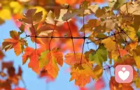 為尚未發生的事情擔憂 為自己想象的結果而焦慮
改變自己最快的方法 就是做你害怕的事
把你在意的東西看淡一點 有些事 有些人 只要你不在乎 就傷害不到你配圖