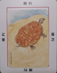 咨詢師的最高境界不是技術而是生命與生命的相遇，是對生命的看見。配圖