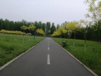 家長(zhǎng)在孩子教育中的越位，是對(duì)孩子最大的傷害；
老師在學(xué)生教育中的讓位，這是教育最大的悲哀；
學(xué)生在學(xué)習(xí)生涯中的錯(cuò)位，這是在給未來(lái)挖深坑。
在教育路上，家長(zhǎng)、老師、學(xué)生應(yīng)各司其責(zé)，各安其位，扮演好各自的角色。
只有父母像父母，老師像老師，學(xué)生像學(xué)生，教育才是成功的！配圖