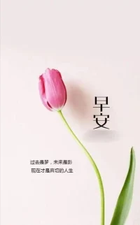 沒有人可以回到過去重新開始，但誰都可以從今天開始，書寫一個全然不同的結(jié)局。
愿你的今天充滿希望和幸福！