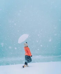 山鳥(niǎo)與魚(yú)不同路，
從此山水不相逢。配圖