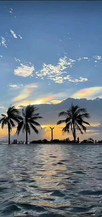 同善良人交往，

不是圖他可以好到什么地步，

而是他不會壞到什么地步。

人與人之間的交往，

首先需要的是安全感，

然后才是成就感和愉悅感。配圖