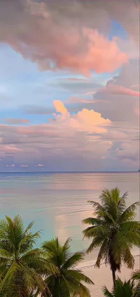 如果有人想在很多人面前讓你出丑，

你可以對他非常有禮貌，

這樣會讓他停止這種行為，

或者讓他看起來很傻。配圖