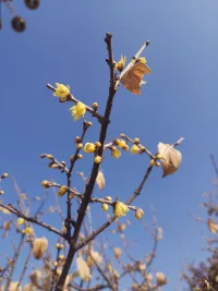 “活著不是為了湊熱鬧的，歸屬感并沒有意思。無論成為藝術家攝影師導演詩人或只是一個擅長燴面的廚師，人生都是虛無的，怎么把它瀟灑地浪費掉，浪費得毫無遺憾，才是唯一對自己有意義的事情。想通這一點后，我才有了自由。”

——《坦白書?》配圖