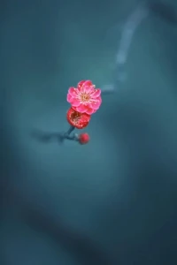 身體受了傷，我們會去消毒、上藥、包扎、謹慎護理。而心靈，應(yīng)該受到同樣的對待，因為它更為隱秘，放任不管，傷口更難愈合。配圖