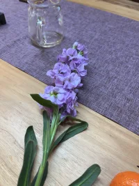 春天多出去走走，看看大自然的花兒都活的那么熱烈那么美，你也可以像它們那樣把陰暗的東西全部釋放，擁抱燦爛美好的自己配圖
