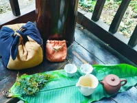 春分
晝夜平等
陰陽平衡
人也是
覺得心里不舒服了
就要發(fā)出來配圖