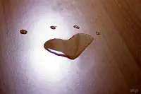 如果把愛情經營成親情，盡管分不開，但是會越來越沒感覺。親情給人溫暖的感覺，愛情給人浪漫溫馨的感覺，親情里不可能有浪漫，愛情里卻可以有溫暖。或許，兩人并非不愛，只是生活過于單調，需要變換一種新鮮的相處方式。配圖