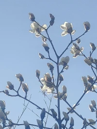 余生很短，不要活在別人的影子里，對待不適合的人，果斷轉身；對一味向你索取的人，大膽說“不”。畢竟，人生最糟的不是失去一個愛的人，而是因為太愛一個人，而失去了自己。配圖