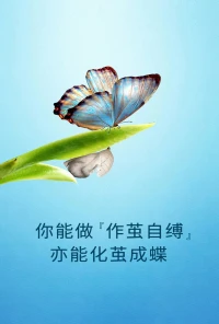 心存夢想，就有一個方向，也就不會迷茫。即使跌倒，我們仍然有勇氣爬起來一如既往不斷向前。配圖