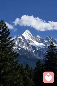 心理成本是最大的成本
握緊拳頭，你擁有的只是手掌里的那一方天地
松開拳頭，你擁有的是整個世界配圖