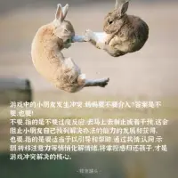 育兒對于母親，也并非理所當然順手拈來天生就會！這就是一項費心勞力的工作！當媽不容易，不比外出工作廉價！配圖