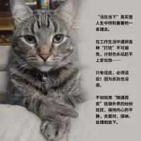 保持內心的寧靜，隨遇而安配圖