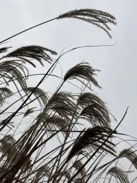 虛室生白，相信智慧就在我們心間。配圖