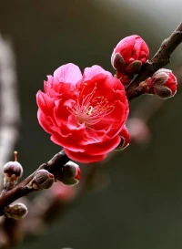 另一半為什么會出軌？另一半出軌了怎么辦？

1.沒有滿足的需求：如果一個人在他/她的關系中感到不滿足，他/她可能會尋求滿足自己需求的方式，這可能導致出軌。

2.沒有溝通：如果一個人感到他/她的需求沒有得到滿足，但沒有與他/她的伴侶進行溝通，他/她可能會尋求別的方式來滿足自己的需求！

3.尋求刺激：有些人可能會因為尋求刺激而出軌，他們可能感到他們的生活變得單調乏味，需要一些新的刺激。

4. 自我控制不足：有些人可能會因為自我控制不足而出軌，他們可能無法控制自己的欲望和沖動。

5.情感上的問題：有些人可能會因為情感上的問題而出軌，他們可能感到他們的伴侶不再愛他們，或者他們已經失去了對他們的吸引力。總之，出軌的原因是多種多樣的，每個人的情況都是不同的。

那得知另一半出軌了之后該怎么辦？

1.保持冷靜：發現另一半出
軌時，情緒可能會非常激動，但是保持冷靜是解決問題的第一步。

2.溝通：與另一半坦誠地溝通，了解他們的想法和感受，同時表達自己的觀點和感受。

3.尋求幫助：如果你感到無法處理這種情況，可以尋求幫助，如婚姻咨詢師或心理醫生。

4.決定下一步行動：根據你的價值觀和情況，決定下一步行動，可能是嘗試修復關系，或者結束關系。

5.照顧自己：無論你做出什么決定，都要照顧好白己的身心健康，尋求支持和關愛。愛自己才是終生浪漫的開始！配圖