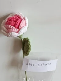 今天是母亲节，收到了一分最珍贵的礼物，来自宝贝女儿的鲜🌹🌹配图