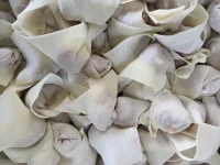 端午節快樂！粽子飄香……粽是情……配圖