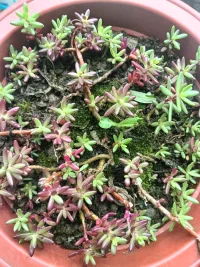 说过的话、发生的事，所有的一切都让它随风飘散吧，不必太在意。一切都会成为过去！配图