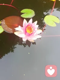 今天終于有時間陪孩子們出來玩了！配圖