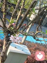 周末愉快????配圖