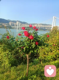 周末愉快????配圖