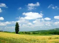 心情焦躁就去郊外看風(fēng)景，騎自行車，身心疲憊就靜下來去聽聽音樂，覺得內(nèi)心孤獨，就去看看心靈成長的書，心情憤怒就去奔跑吶喊宣泄，停止責(zé)怪別人抱怨生活，我們都長大了，要懂得獨處，學(xué)會獨立！配圖