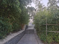 主動生活

我的生活我做主。每個人都是自身生命的主人?？墒?，在現實生活中，迫于生存，我們不得不去應對環境的各種壓力，被迫去做各種事情，這叫被動生活。生命變成了維持生存的工具和手段，自己被變成了工具人，失去了生命主體的地位。
居安思危，未雨綢繆，屬于在被動中尋求主動。其實，除了被動應付，我們更應該去主動生活，以自身為主體、為目的，主動去做一些自己感興趣的事情，讓自己心身愉悅，比如，唱歌跳舞美食，逛商店，看電影，約朋友聚會聊天，旅游，等。配圖