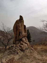 健康的一半是心理健康，疾病的一半是心理疾病配圖