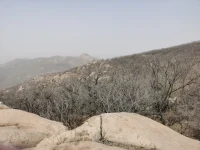做人，不一定要風風光光，但一定要堂堂正正；處事，不一定要盡善盡美，但一定要問心無愧。配圖