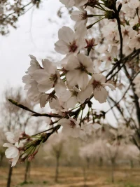 情緒是流動的能量，是生命天然的保護傘，能與其和諧共處就能掌控自己的人生。配圖