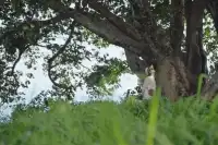 看清一個人不必去揭穿，討厭一個人也不必去翻臉，排除在自己視線和意識之外，當沒有關系的時候，一切不相干了。活著，總有看不慣的人，看不慣就是有差異。配圖