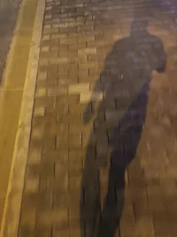當方向錯的時候，停下來就是最大的進步，適合任何關系，及時止損。配圖