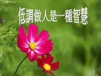 越優秀越低調
很認同一句話：我以為別人尊重我，是因為我很優秀。后來才明白，別人尊重我，是因為別人很優秀。
已識乾坤大，猶憐草木青。越是見過世面的人，越能在細微之處不動聲色地體諒他人，愿我們余生做個溫暖純良之人！配圖