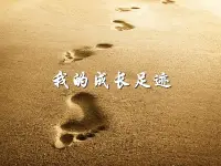 遇見，獲得，失去，成長，釋懷，完結。
我與舊事歸于盡，來年依舊迎花開。配圖