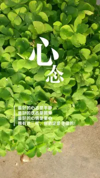 希望別人好，別人未必好，但你肯定會好，因為你內心美好。
見不得別人好，別人未必不好，但你肯定不好，因為你內心沒有美好。配圖