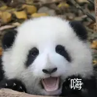 不管此刻多么黑暗，愛和希望總在遠方。配圖
