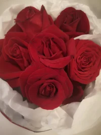 三年苦讀磨一劍，氣定神閑戰(zhàn)猶酣。勢如破竹搗黃龍，千帆競發(fā)齊凱旋。祝高考生順利發(fā)揮，金榜題名！配圖